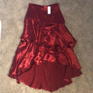 NWT Anthro midi skirt